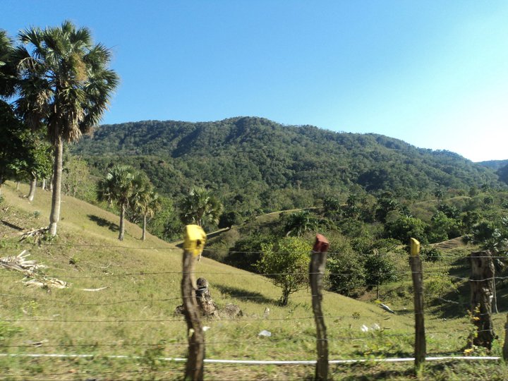slideshow